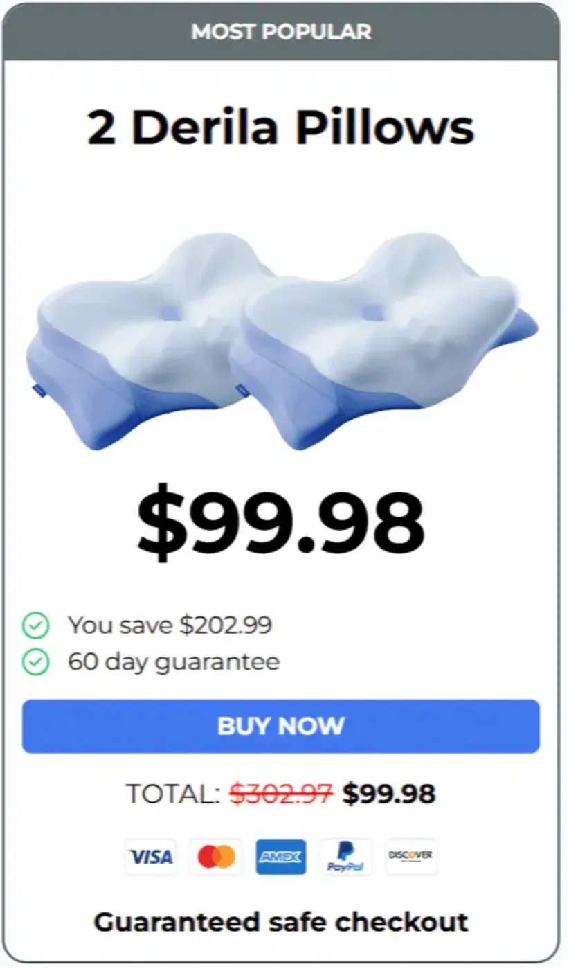 Order Derila Ergo 2 Pillows